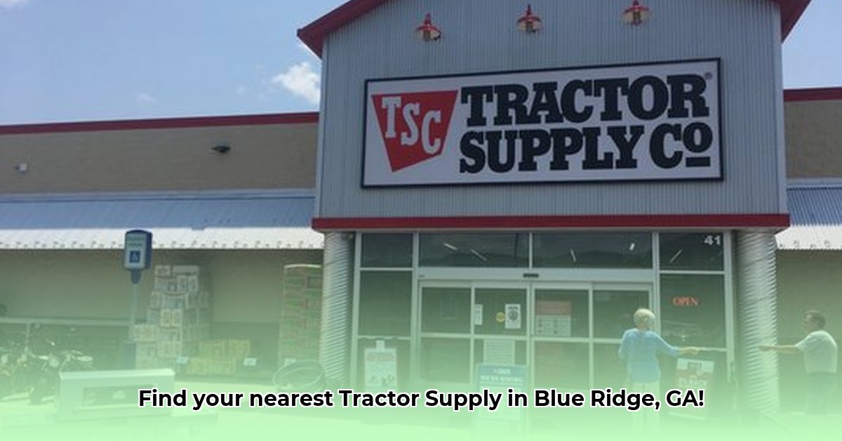 tractor-supply-blue-ridge-georgia